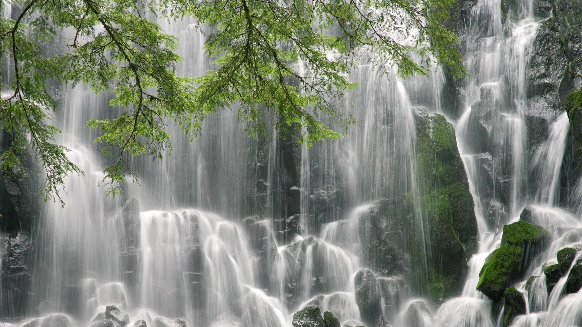 世界体操单项赛赛场志愿者资源库上线供各地调用，世界体操组织